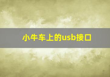 小牛车上的usb接口