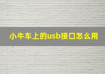 小牛车上的usb接口怎么用