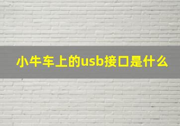 小牛车上的usb接口是什么