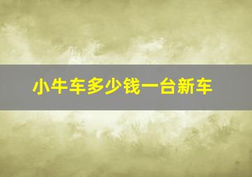 小牛车多少钱一台新车