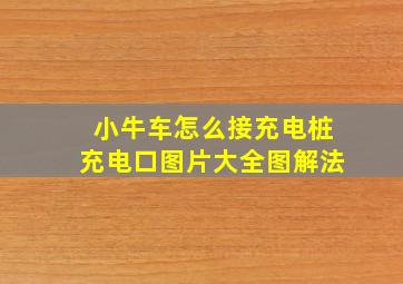 小牛车怎么接充电桩充电口图片大全图解法