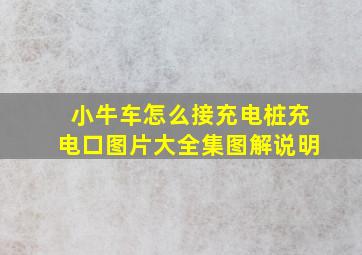 小牛车怎么接充电桩充电口图片大全集图解说明