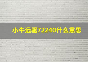 小牛远驱72240什么意思