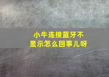 小牛连接蓝牙不显示怎么回事儿呀