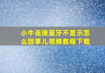 小牛连接蓝牙不显示怎么回事儿视频教程下载