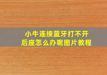 小牛连接蓝牙打不开后座怎么办呢图片教程