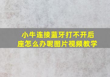 小牛连接蓝牙打不开后座怎么办呢图片视频教学