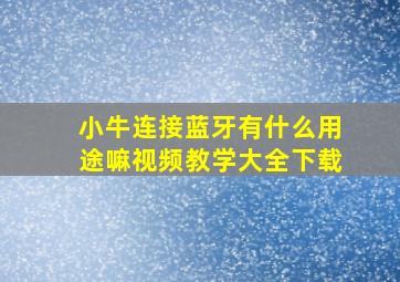 小牛连接蓝牙有什么用途嘛视频教学大全下载