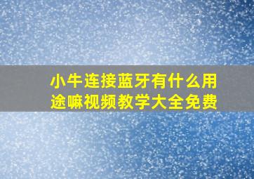 小牛连接蓝牙有什么用途嘛视频教学大全免费