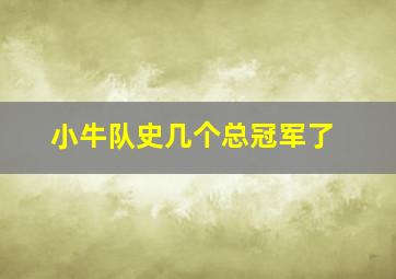 小牛队史几个总冠军了