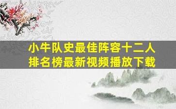 小牛队史最佳阵容十二人排名榜最新视频播放下载