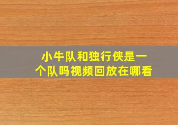 小牛队和独行侠是一个队吗视频回放在哪看