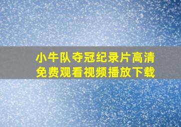 小牛队夺冠纪录片高清免费观看视频播放下载