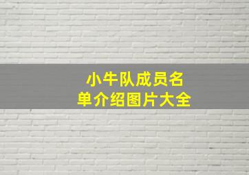 小牛队成员名单介绍图片大全