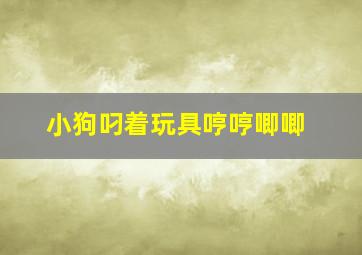 小狗叼着玩具哼哼唧唧