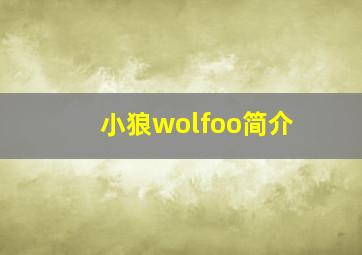 小狼wolfoo简介