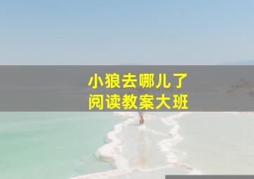 小狼去哪儿了阅读教案大班