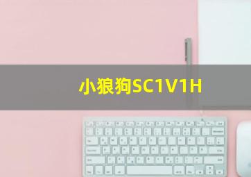 小狼狗SC1V1H