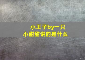 小王子by一只小甜甜讲的是什么