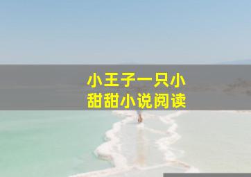 小王子一只小甜甜小说阅读