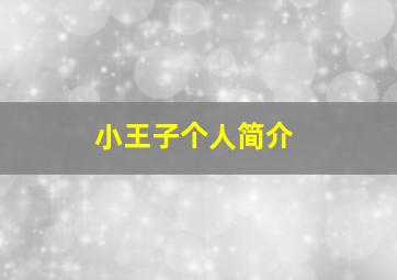 小王子个人简介