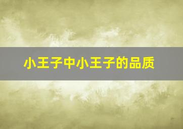 小王子中小王子的品质