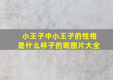 小王子中小王子的性格是什么样子的呢图片大全