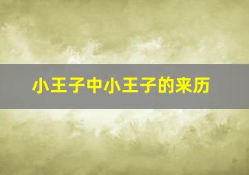 小王子中小王子的来历