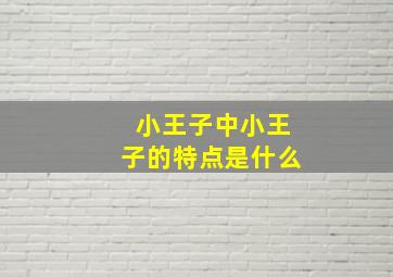 小王子中小王子的特点是什么