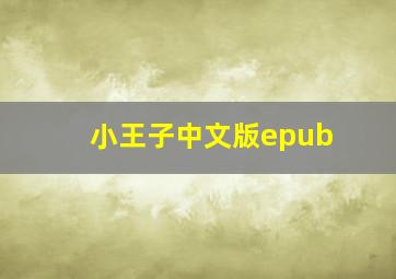 小王子中文版epub