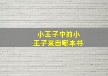 小王子中的小王子来自哪本书