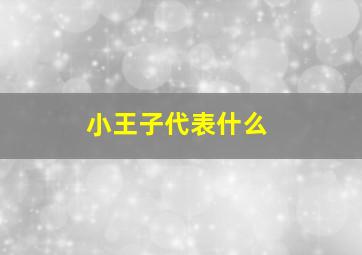 小王子代表什么