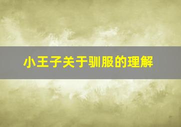 小王子关于驯服的理解