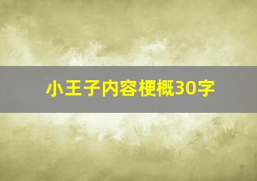 小王子内容梗概30字