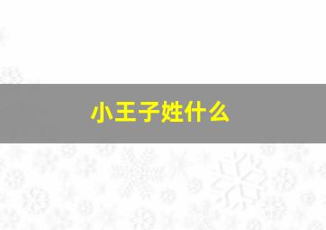 小王子姓什么