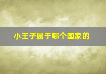 小王子属于哪个国家的