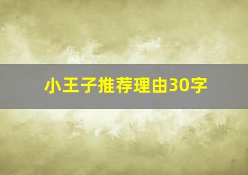 小王子推荐理由30字