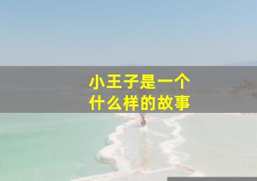 小王子是一个什么样的故事