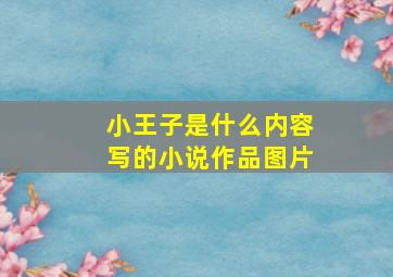 小王子是什么内容写的小说作品图片