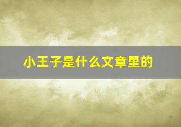 小王子是什么文章里的