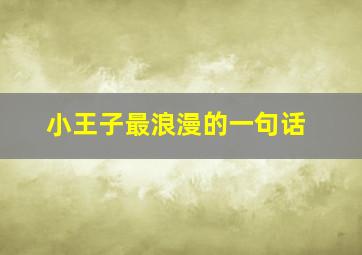 小王子最浪漫的一句话