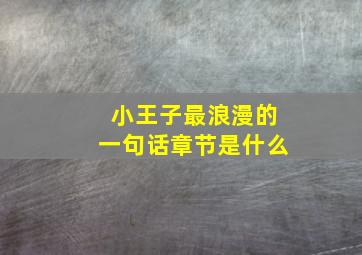 小王子最浪漫的一句话章节是什么