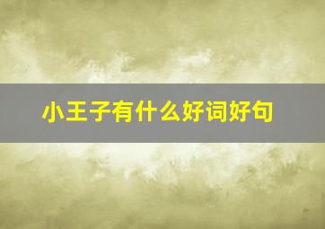 小王子有什么好词好句