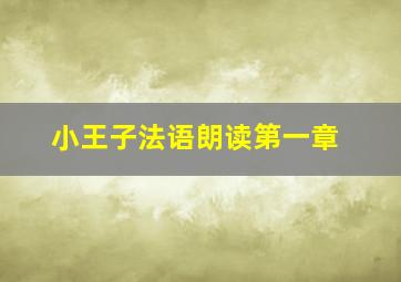 小王子法语朗读第一章