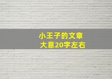 小王子的文章大意20字左右