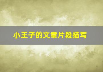 小王子的文章片段描写