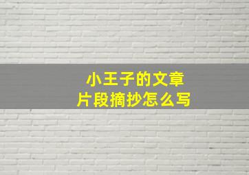 小王子的文章片段摘抄怎么写