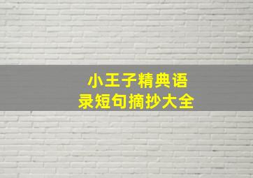 小王子精典语录短句摘抄大全