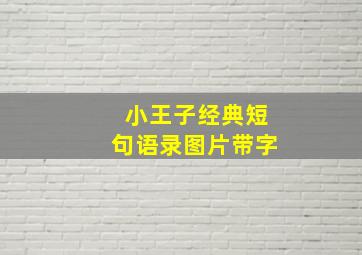 小王子经典短句语录图片带字