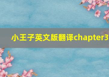 小王子英文版翻译chapter3